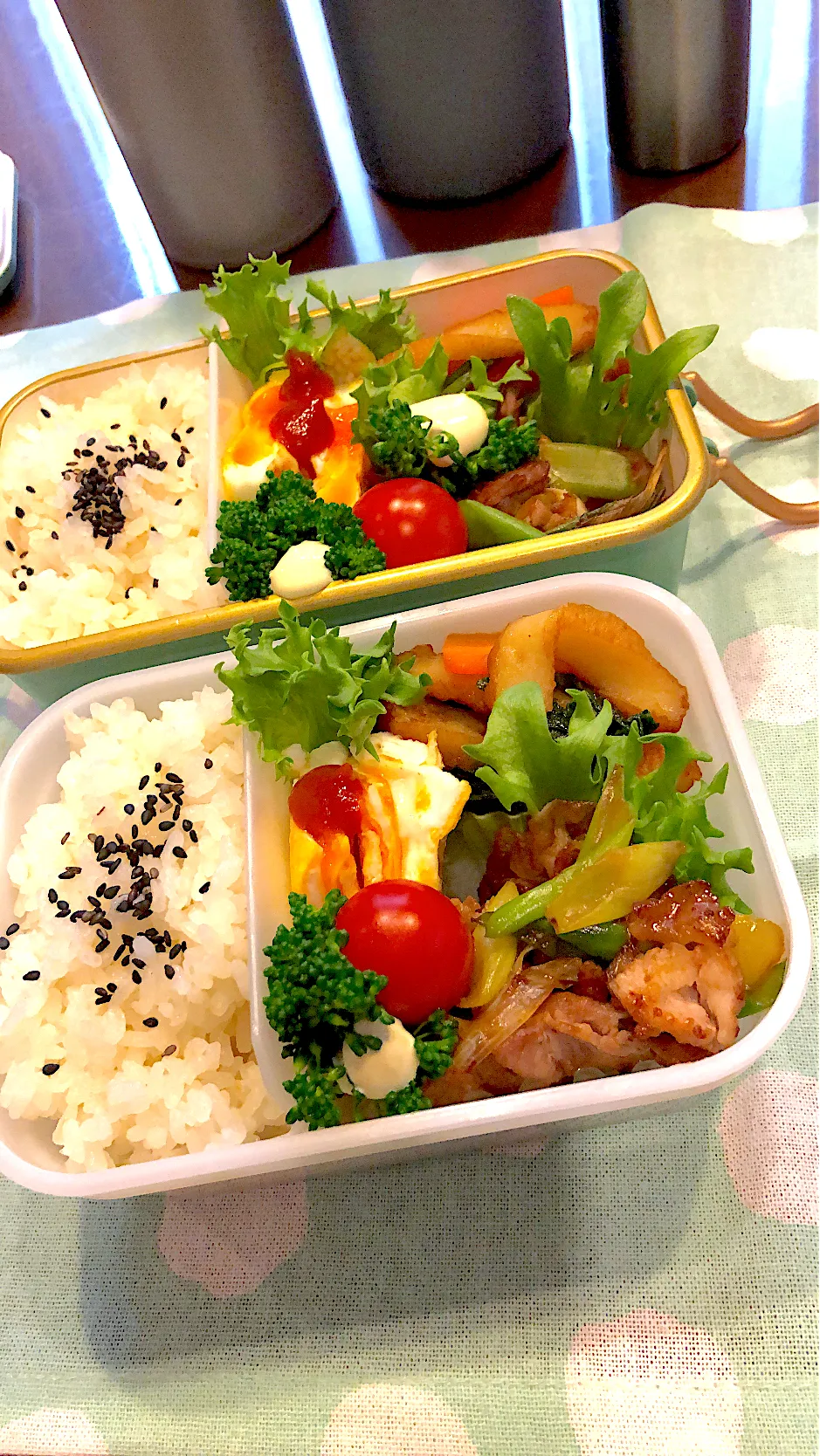 2024.4.4  ＊今日のお弁当＊さつま揚げのごま油炒め♪|rinrin*mama*さん