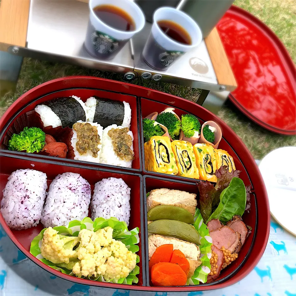 お花見🌸弁当　蕗の薹味噌のおにぎりがメインです♪|じゅんさんさん