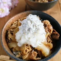 Snapdishの料理写真:釜揚げしらすのおろし牛丼|kaotohananさん