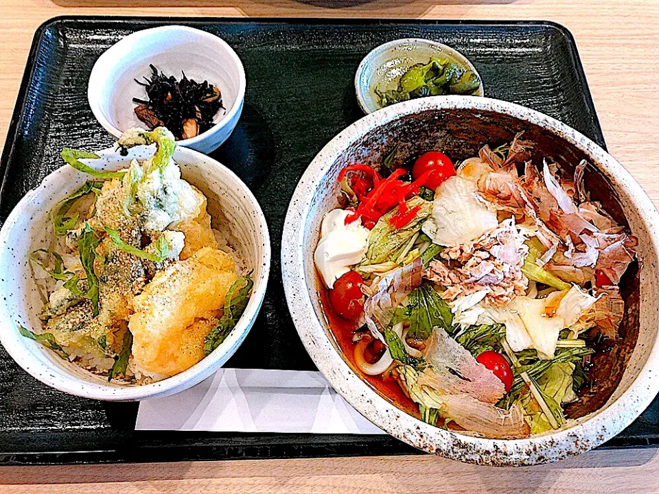 サラダうどん🥗ごま塩天丼🍤|puppy·͜· ︎︎ᰔᩚさん