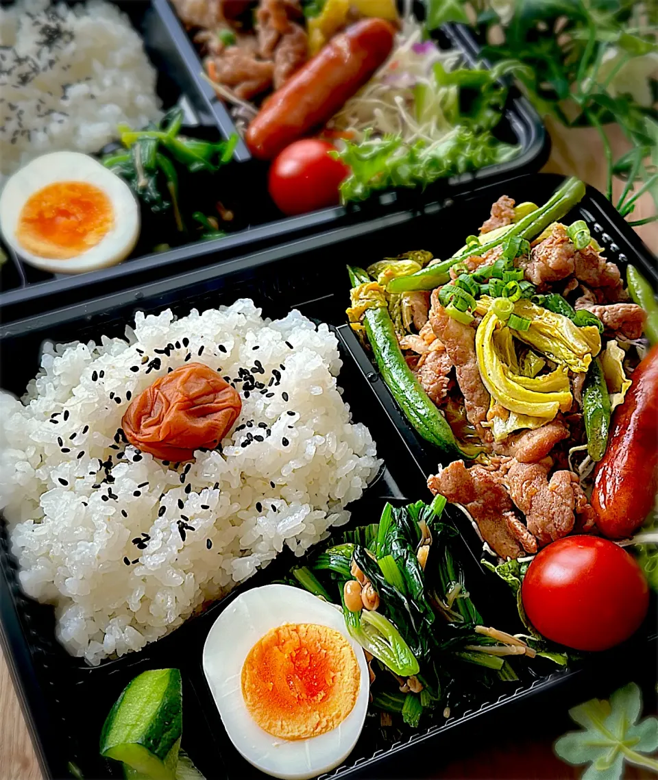 今日のお弁当|みゆきさん