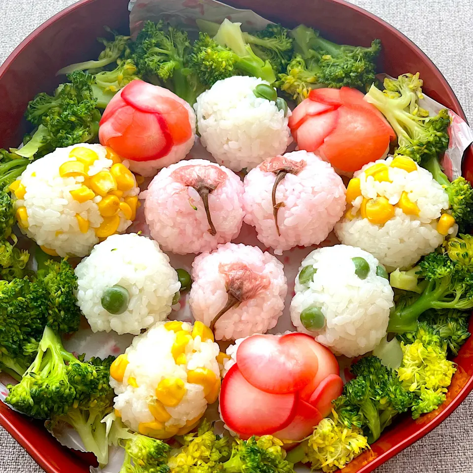 Snapdishの料理写真:2024年　お花見お弁当(おにぎりボックス)4/7|Kahoさん