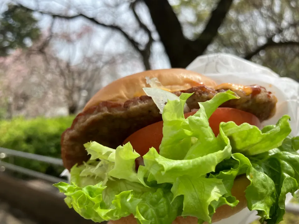 ＊お花見🌸モス🍔＊|＊抹茶＊さん