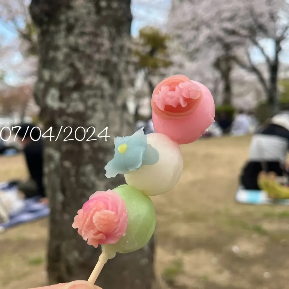 お花見団子🍡|友さん