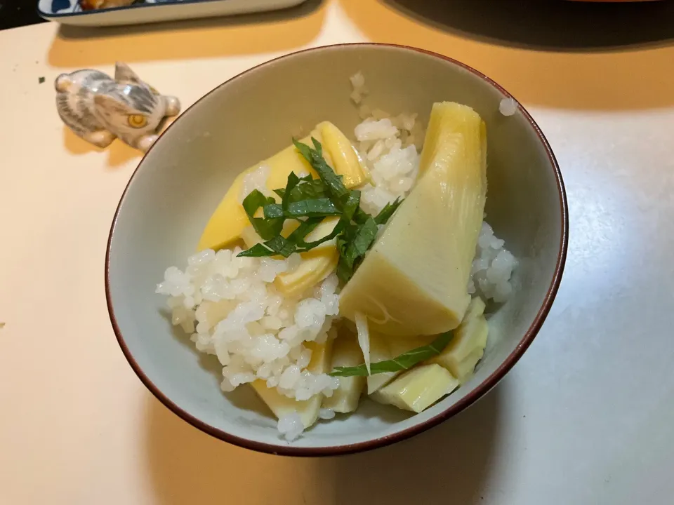 初物　タケノコご飯|Takeshi  Nagakiさん