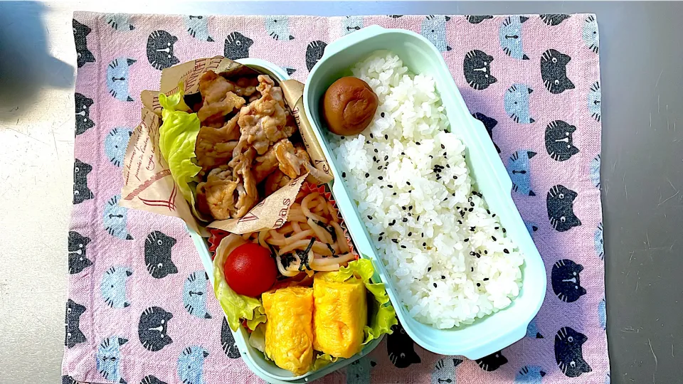 今日からまた始まるお弁当作り#高校生お弁当#四女|しげっちさん