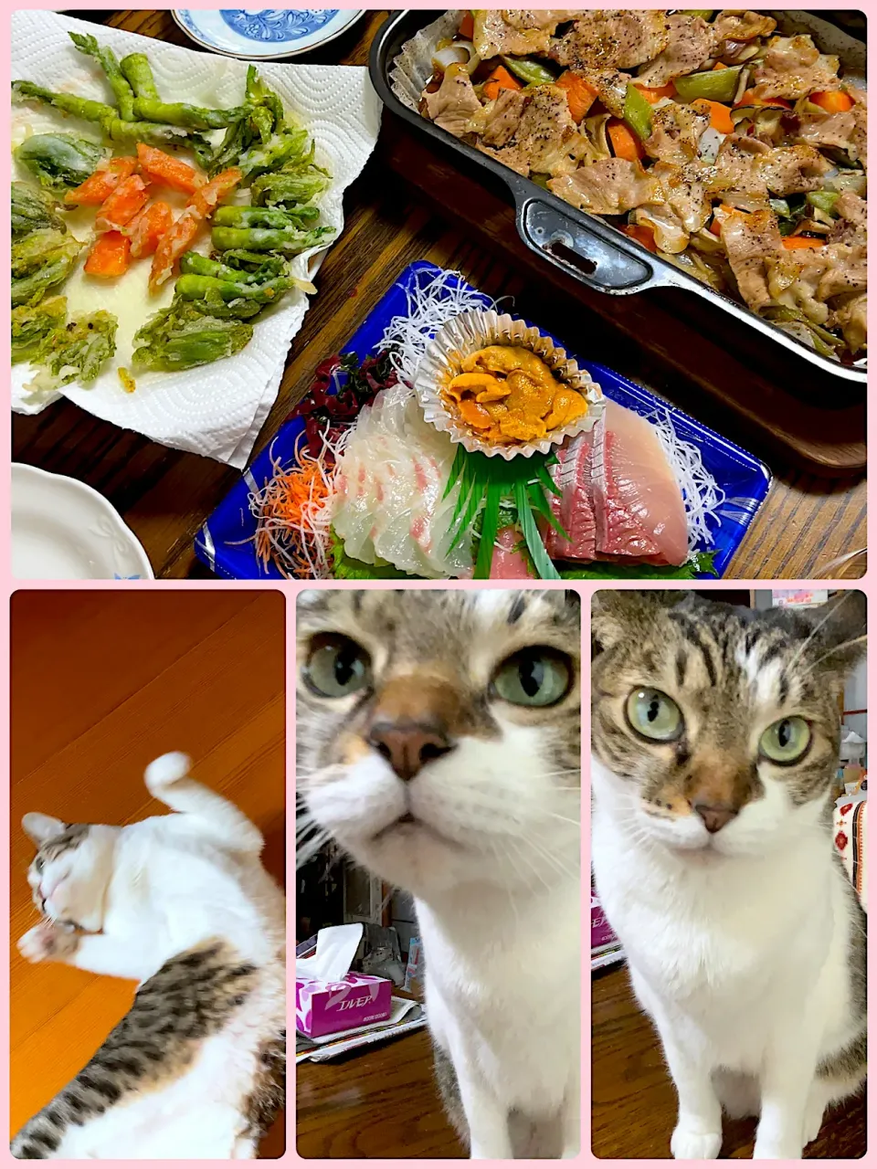 Snapdishの料理写真:父の力作|もっさんさん