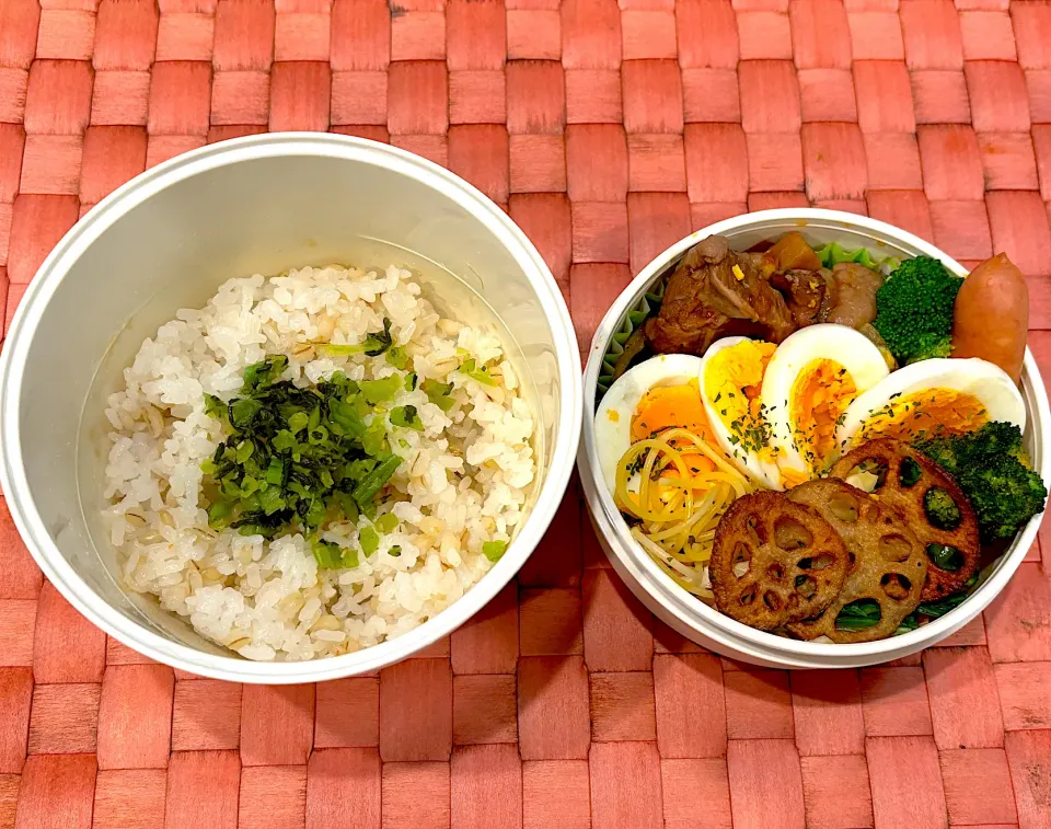 Snapdishの料理写真:中学生息子のお弁当🍱 鶏のトマト煮込み弁当🍱|Snow10さん