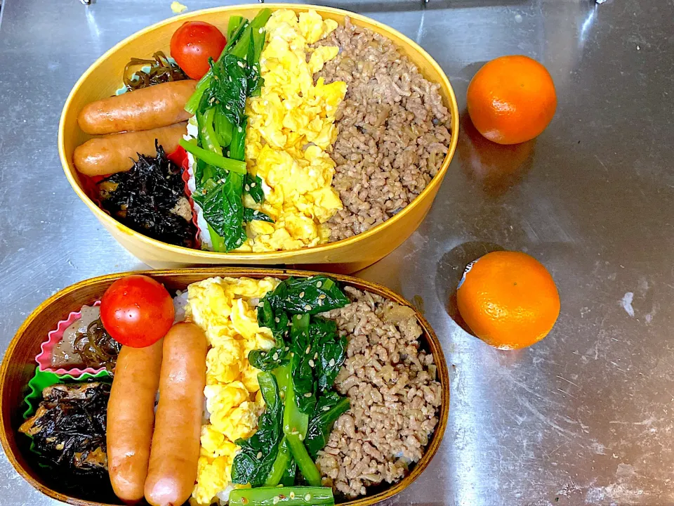 中学生弁当とパパ弁当　　豚ひき肉は一回茹でてから味付けするとベタつかず美味しい|りえはるさん