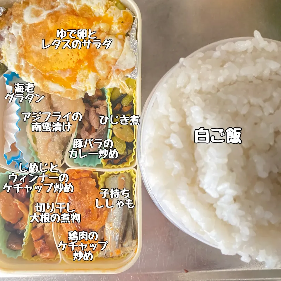 Snapdishの料理写真:今日のお弁当|wakamuさん