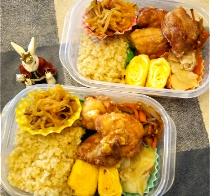 Snapdishの料理写真:'24．4/12
今夜の番外のお弁当😋|たえさん