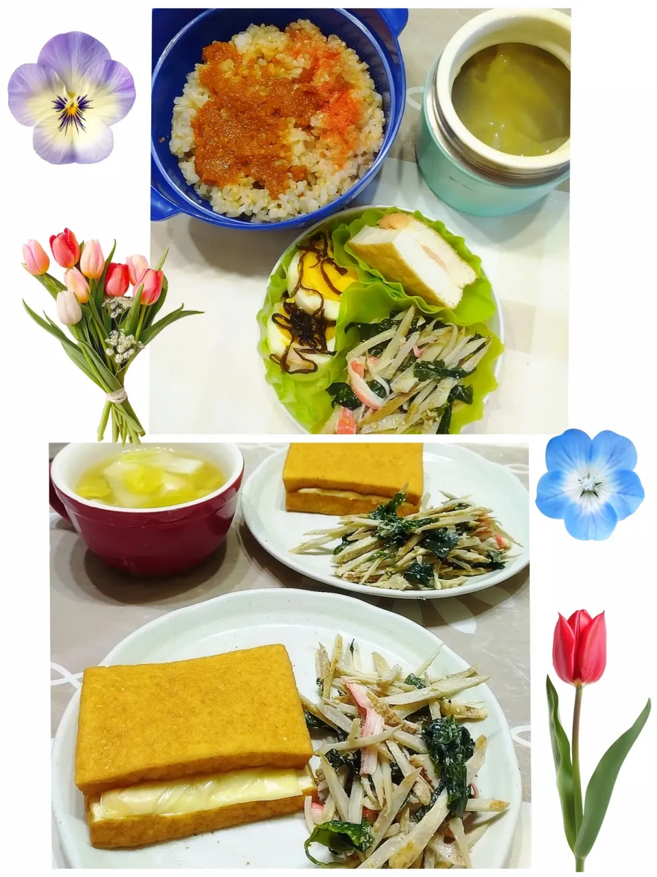 Snapdishの料理写真:ともきーた (伊藤 智子)さんの料理 🆔429533                                                                #ごぼうとわかめとカニカマのサラダ 💕|みったんさん