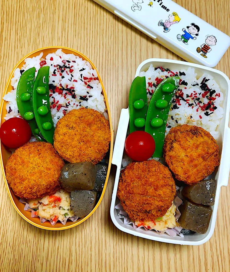 Snapdishの料理写真:2024.4.13  お弁当|もっさんさん