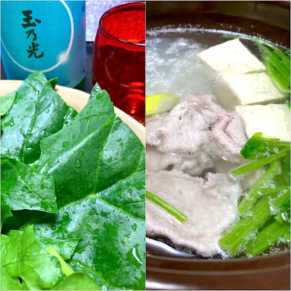 常夜鍋晩酌^ ^|saturnさん