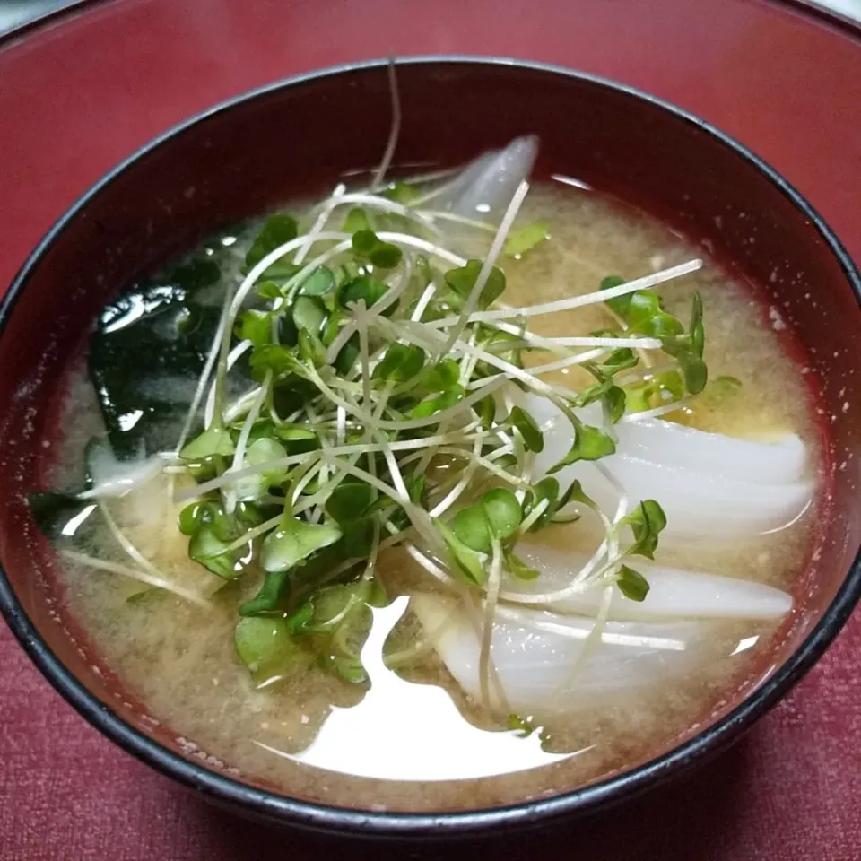 新玉ねぎの味噌汁|由紀子さん