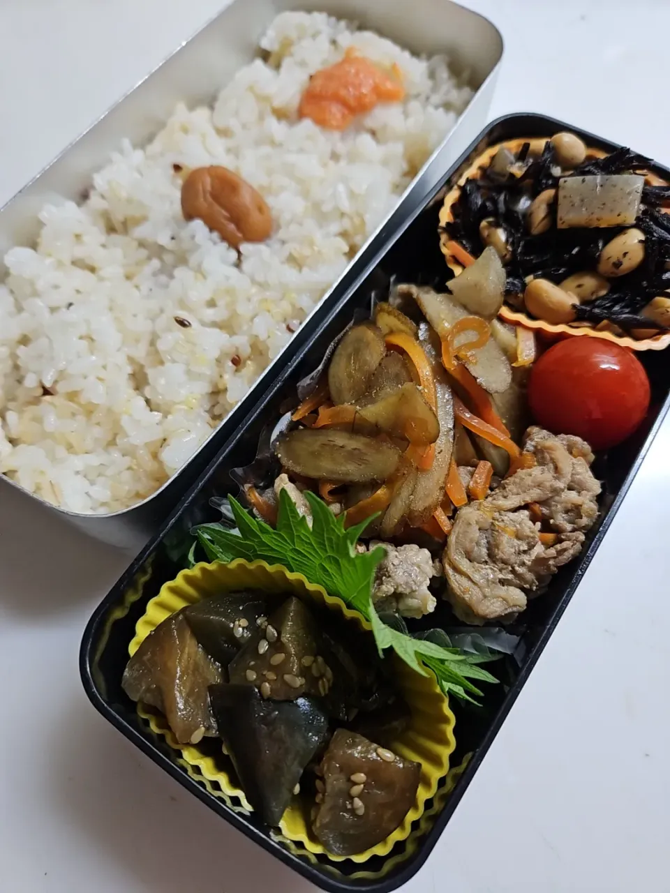 ☆高１弁当☆雑穀米、梅、明太子、ひじき煮物、豚牛蒡、ミニトマト、茄子漬け|ｼｮｺﾗさん