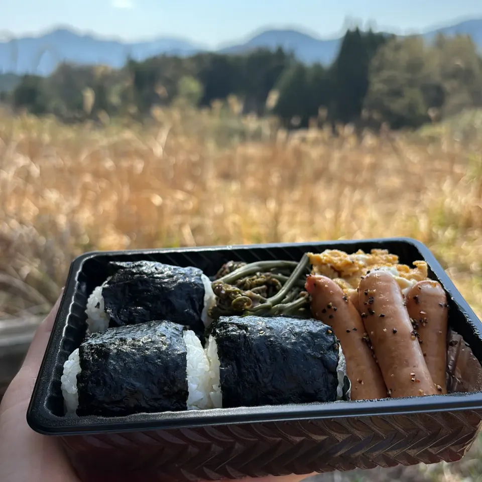 蕨採りでおにぎり弁当|ケイさん