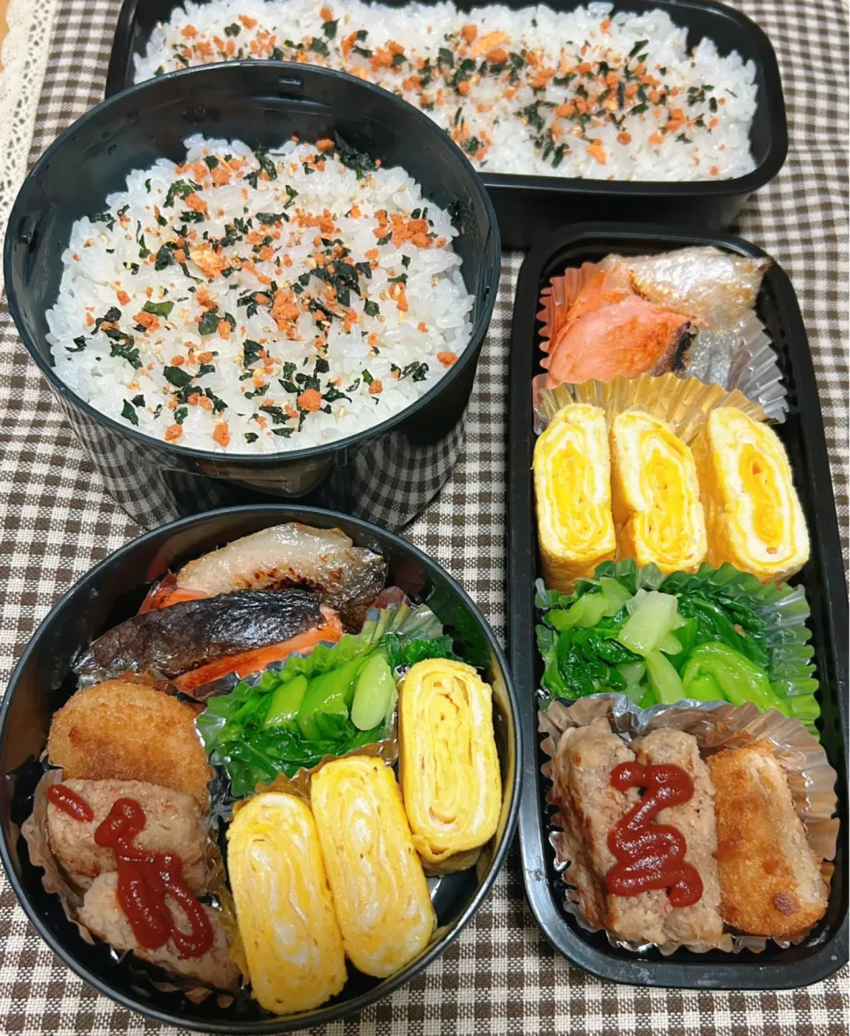 Snapdishの料理写真:今日のお弁当 2024.4.16(Tue)|*seiko*さん