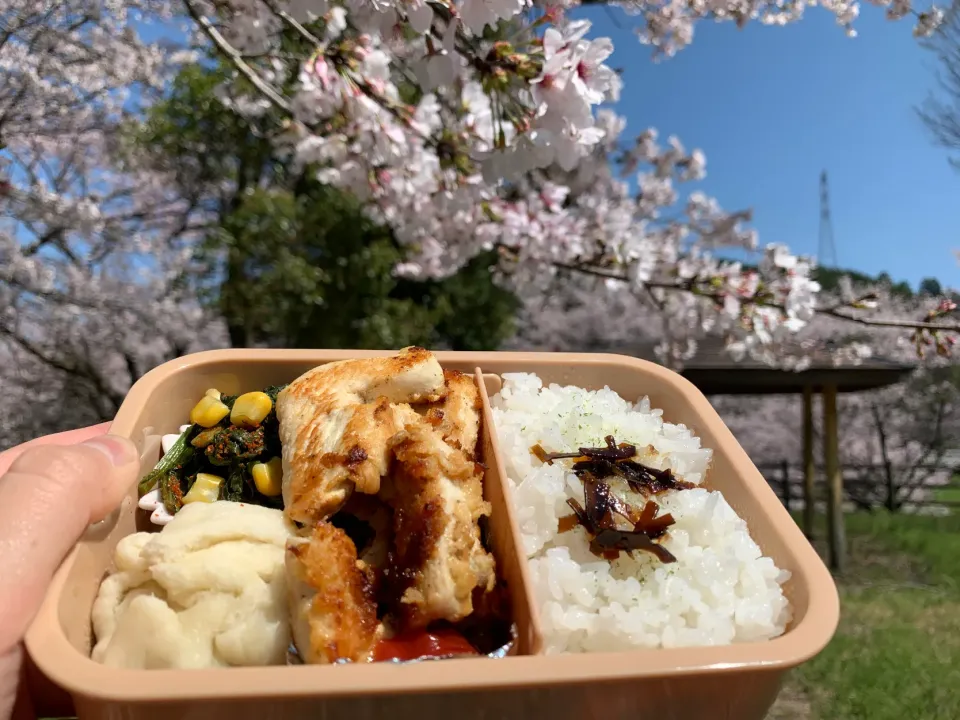 お花見弁当|そらまめさん