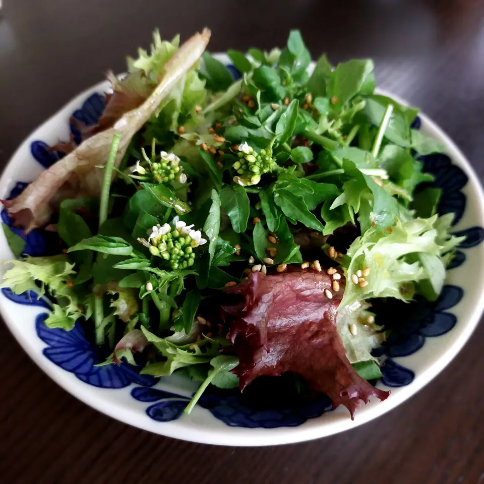 Snapdishの料理写真:クレソンの花サラダ🌿|きつねさん