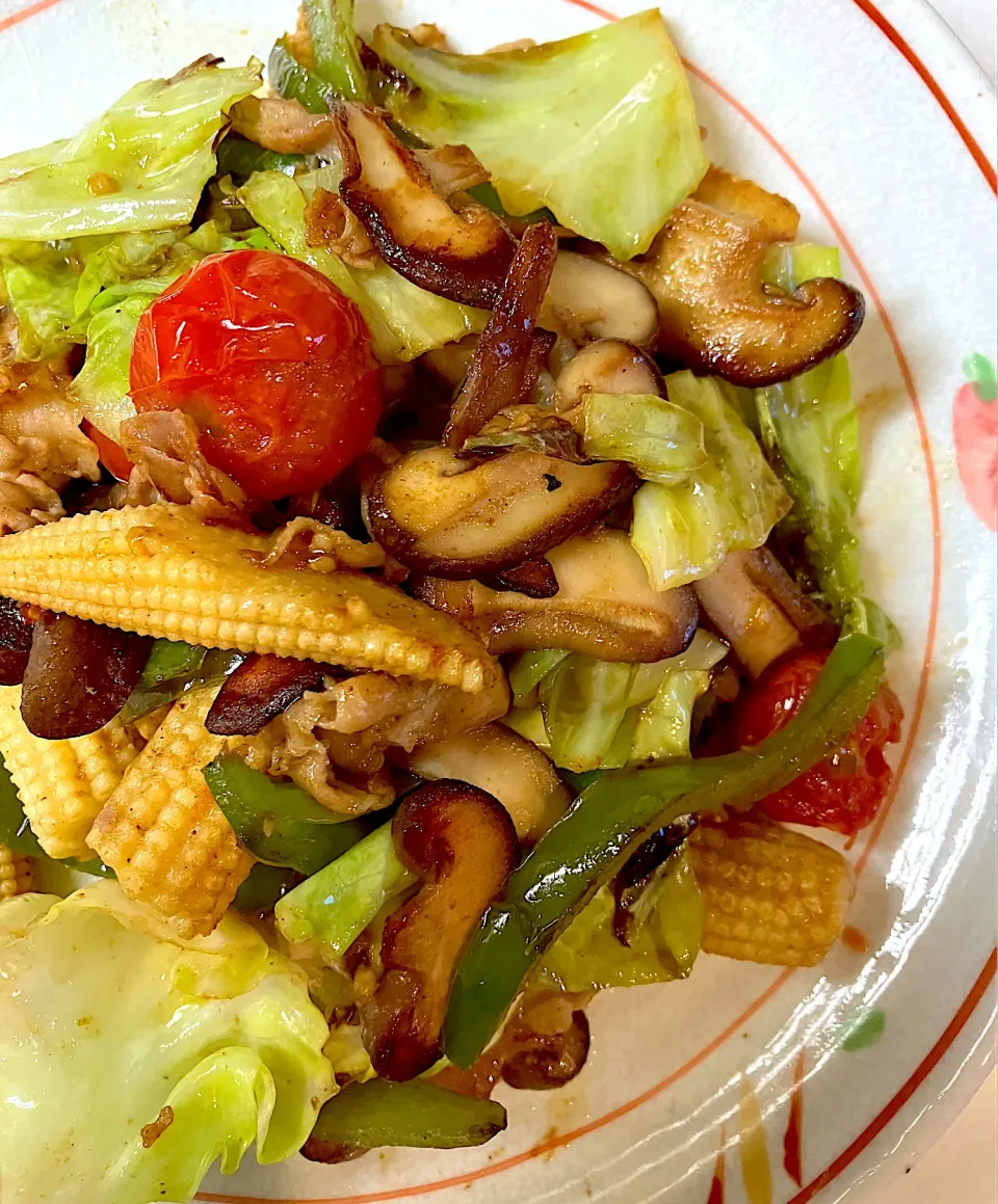 アルモンデ和風カレー味の野菜炒め|sono.kさん