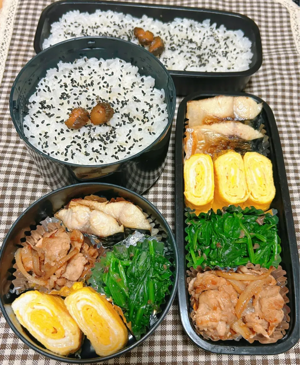 Snapdishの料理写真:今日のお弁当 2024.4.17(Wed)|*seiko*さん