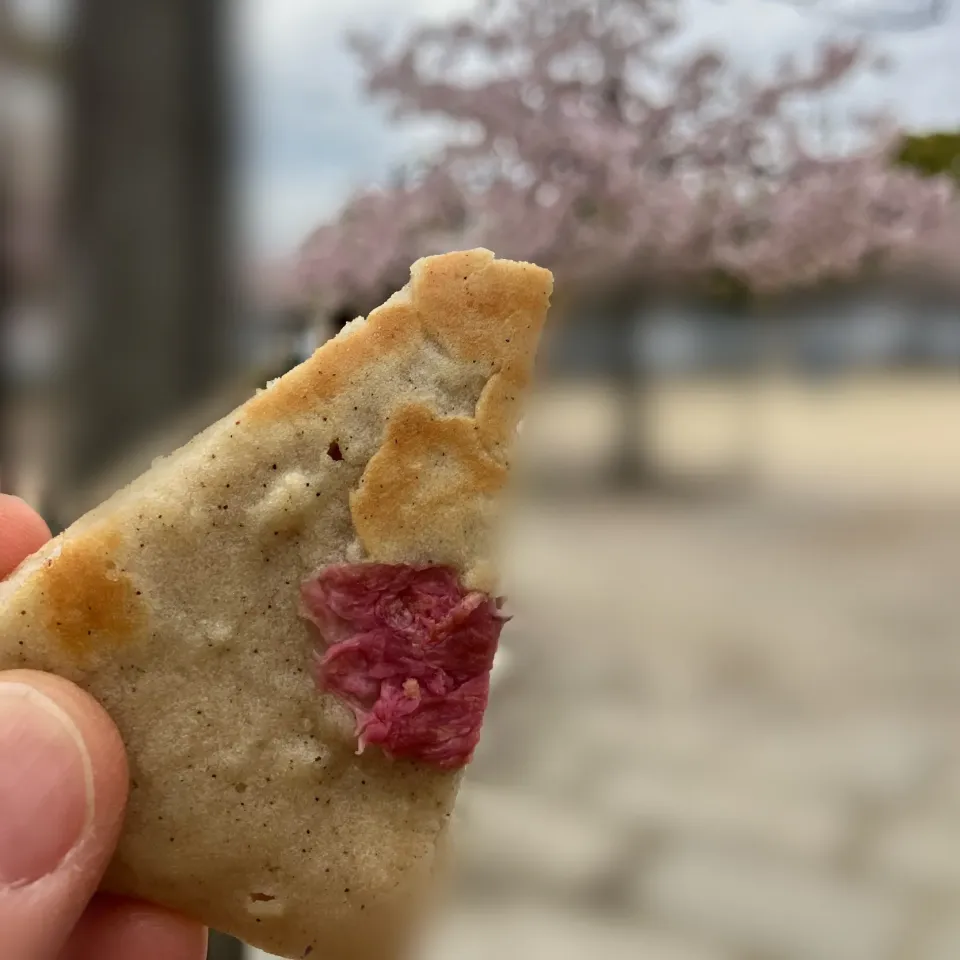 桜の和風パンケーキ＊*〜お花見おやつタイムVer.|みきのキッチン＊*さん