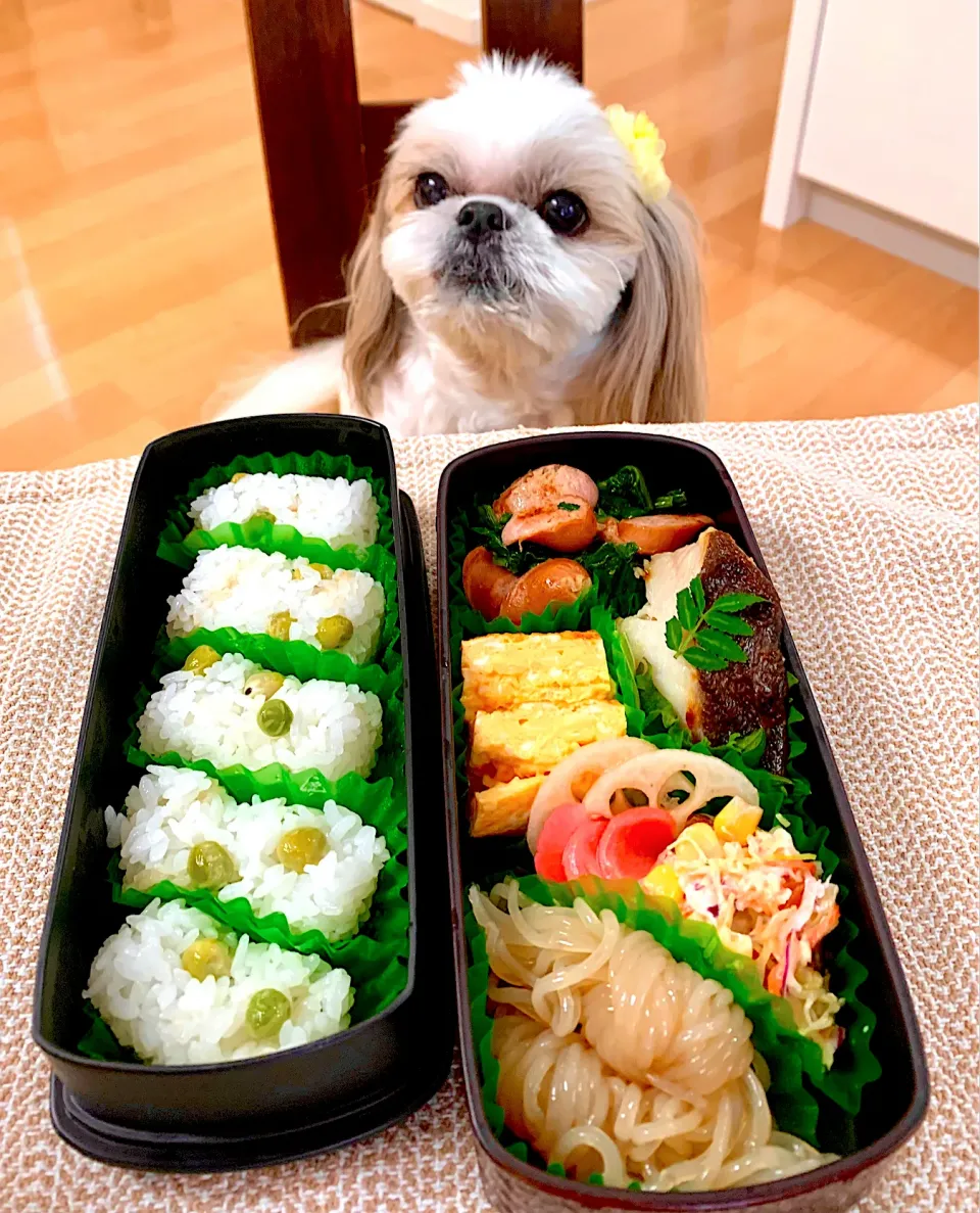 Snapdishの料理写真:4月19日　プクパパお弁当🍱|プクママさん