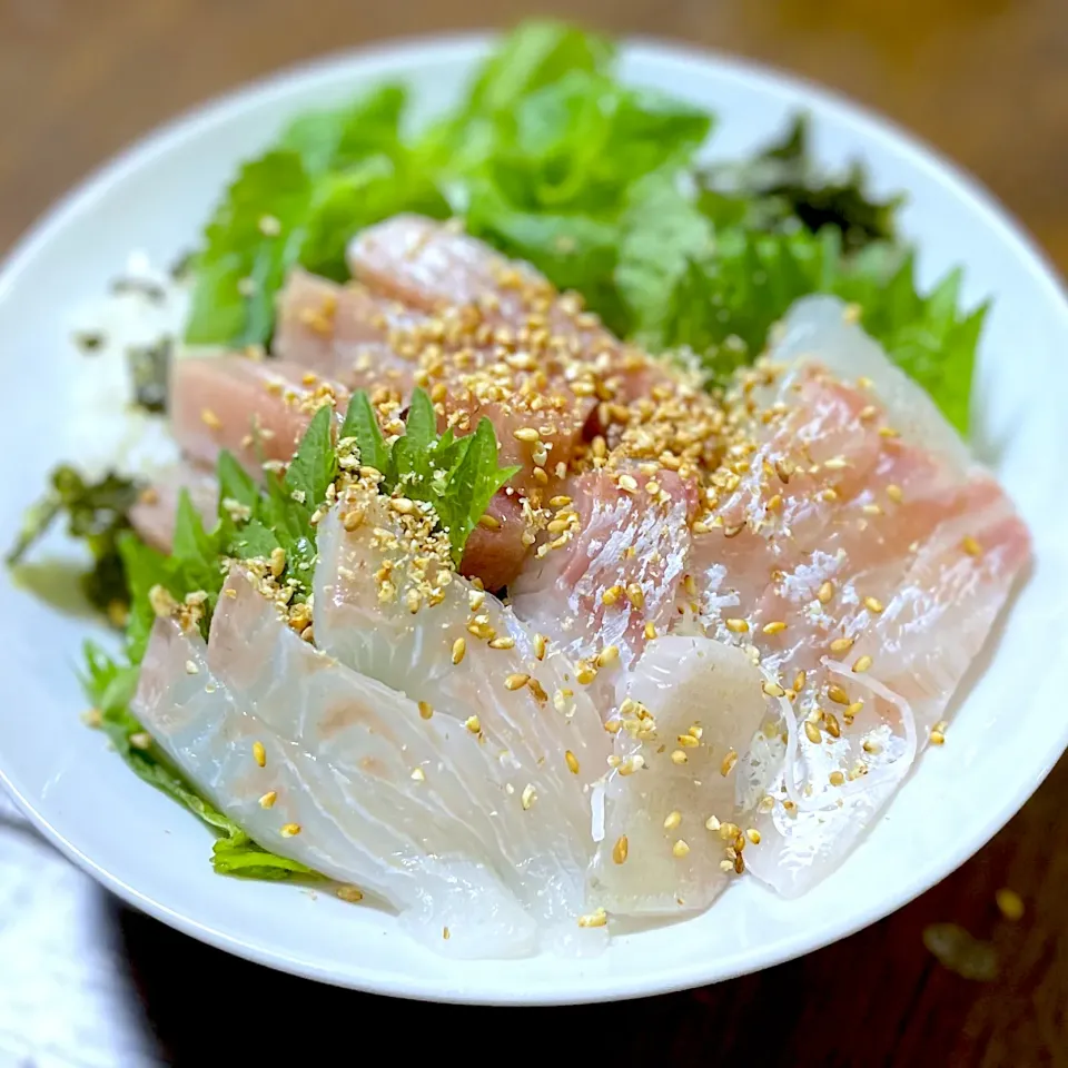 海鮮丼|まさよしさん