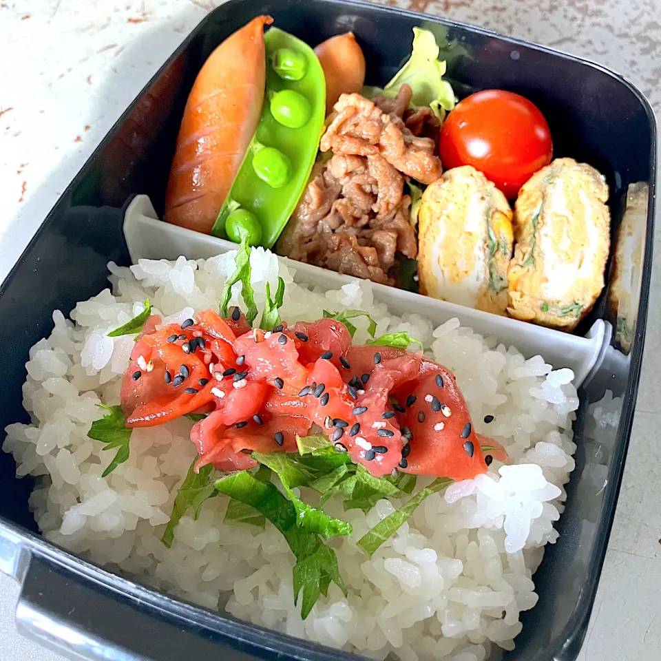 Snapdishの料理写真:中学生男子の部活弁当🍱|almostblackさん