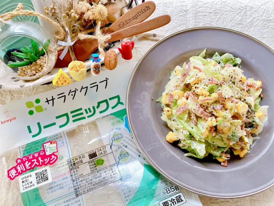 水切りヨーグルトのコールスローサラダ🥗
カリカリベーコンと粒マスタード入り🥓
『サラダクラブ ✿ リーフミックス』使用|がぁがさん