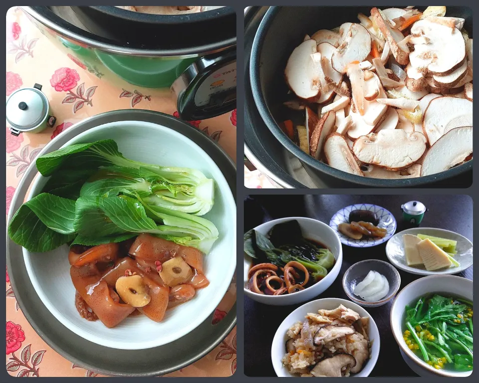 電鍋さんでキノコご飯とイカの蒸し物|きつねさん