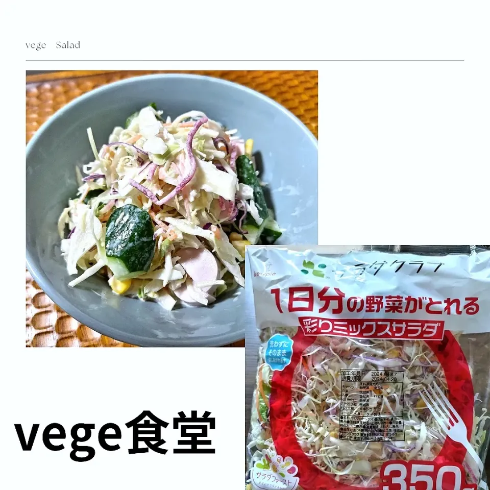 サラダクラブ
シンプルにコールスローサラダ|vege食堂さん