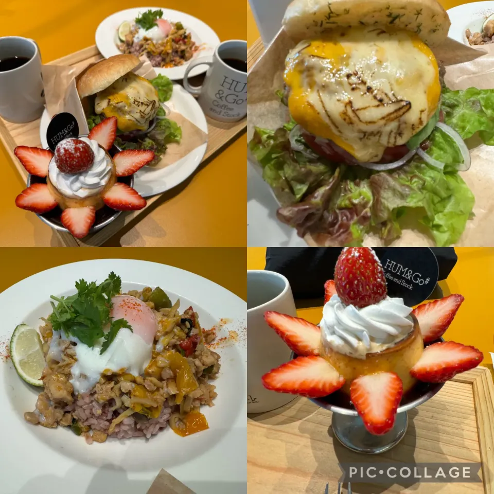 Snapdishの料理写真:石川県立図書館内、HAM&Go#にてランチを。アボカドバーガー、ガパオライス、プリンアラモードをチョイス。ここの硬めプリン、僕のプリン史上3本の指に入る美味。美味しくいただきました。|sniper66さん