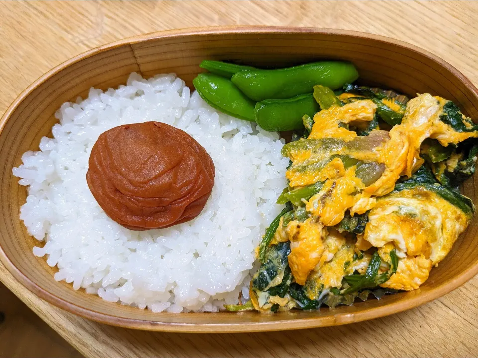 ほうれん草と卵炒め弁当|よこさん