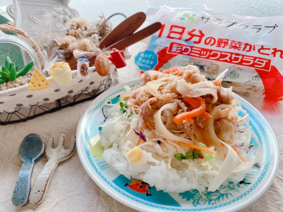 Snapdishの料理写真:豚バラ肉のスタミナ丼
『サラダクラブ ✿ １日分の野菜がとれる彩りミックスサラダ』使用|がぁがさん