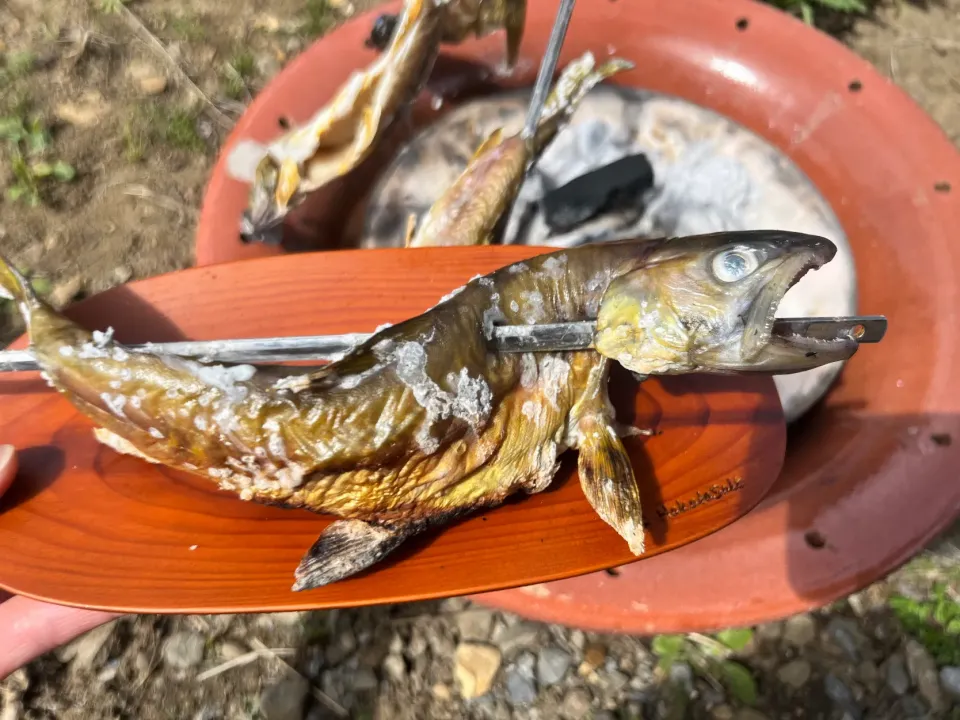 イワナの塩焼き|さあママさん