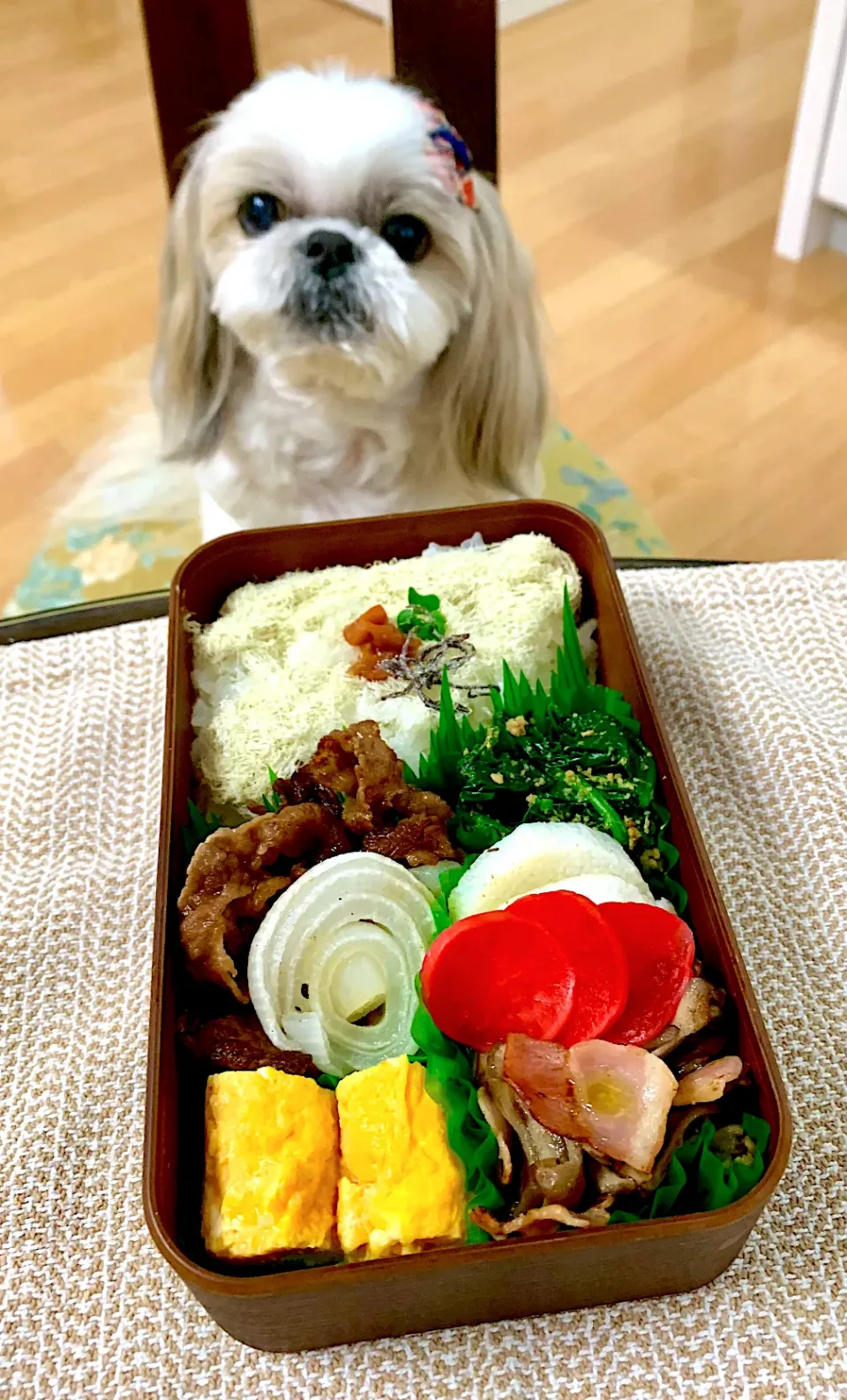 4月23日　プクパパお弁当🍱|プクママさん