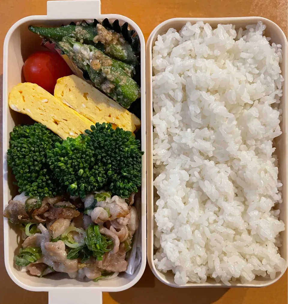 Snapdishの料理写真:2024.4.23 次男お弁当|いじゅさん