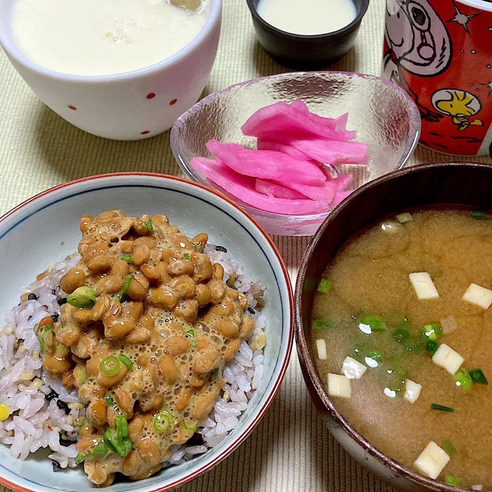 納豆ご飯|akkoさん