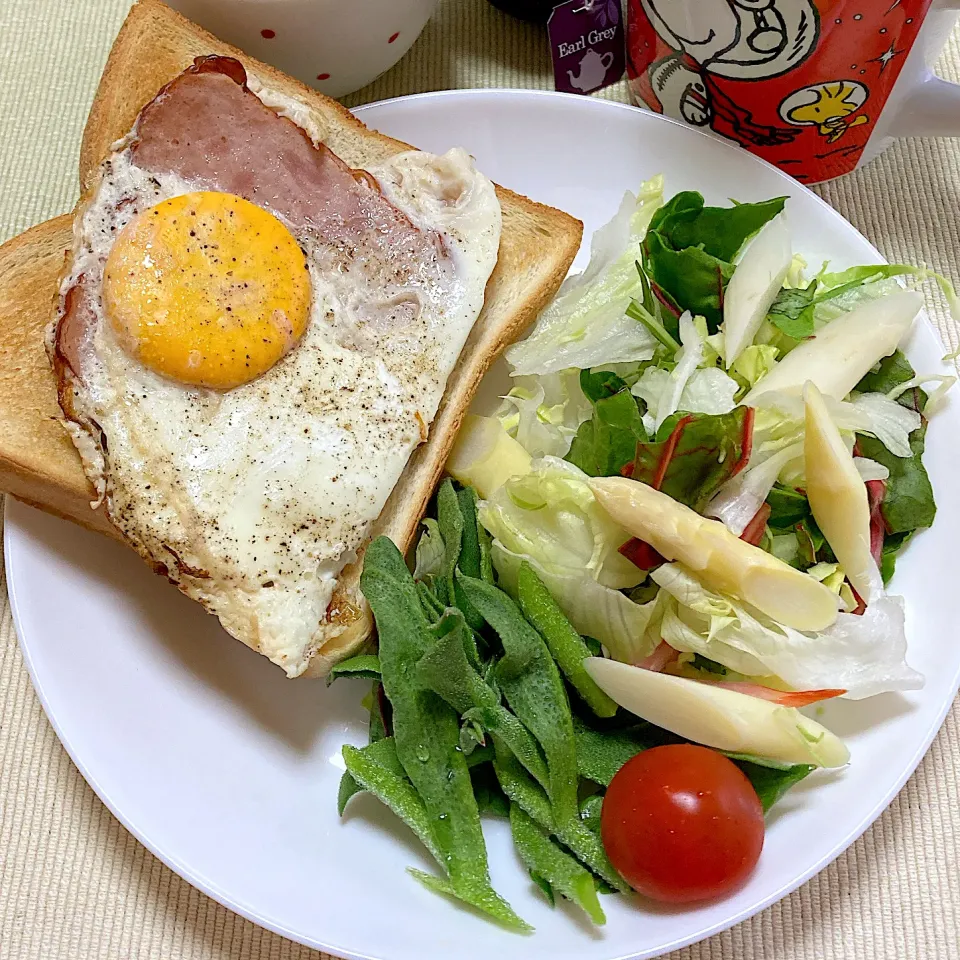 目玉焼き🍳|akkoさん