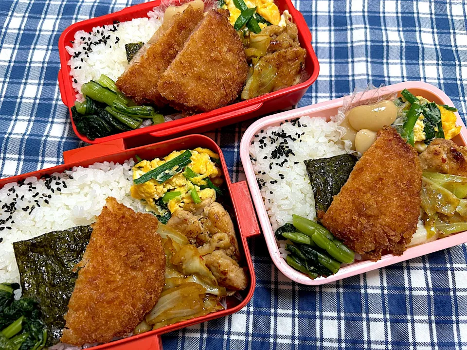 Snapdishの料理写真:ハムカツ弁当|kiusoudaiさん