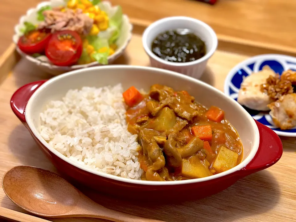 無水カレー　むすこのよるごはん|かぼちゃんさん