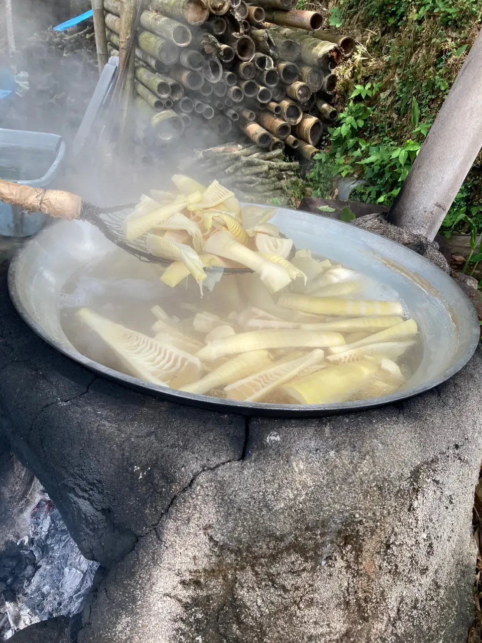 掘りたて剥きたて茹で筍🫶|さくたえさん