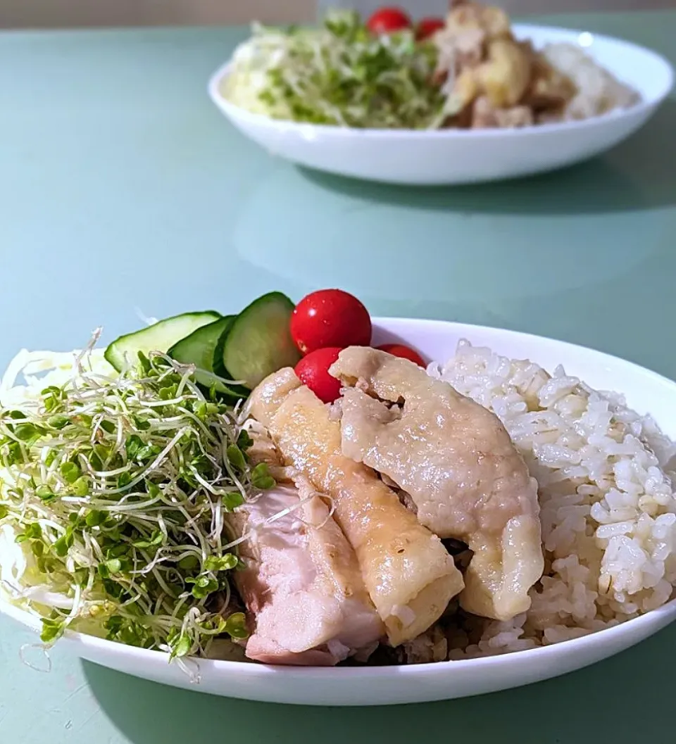 海南鶏飯とカイワレ|かずにゃさん