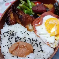 Snapdishの料理写真:高校生男子曲げわっぱ弁当|JUNさん