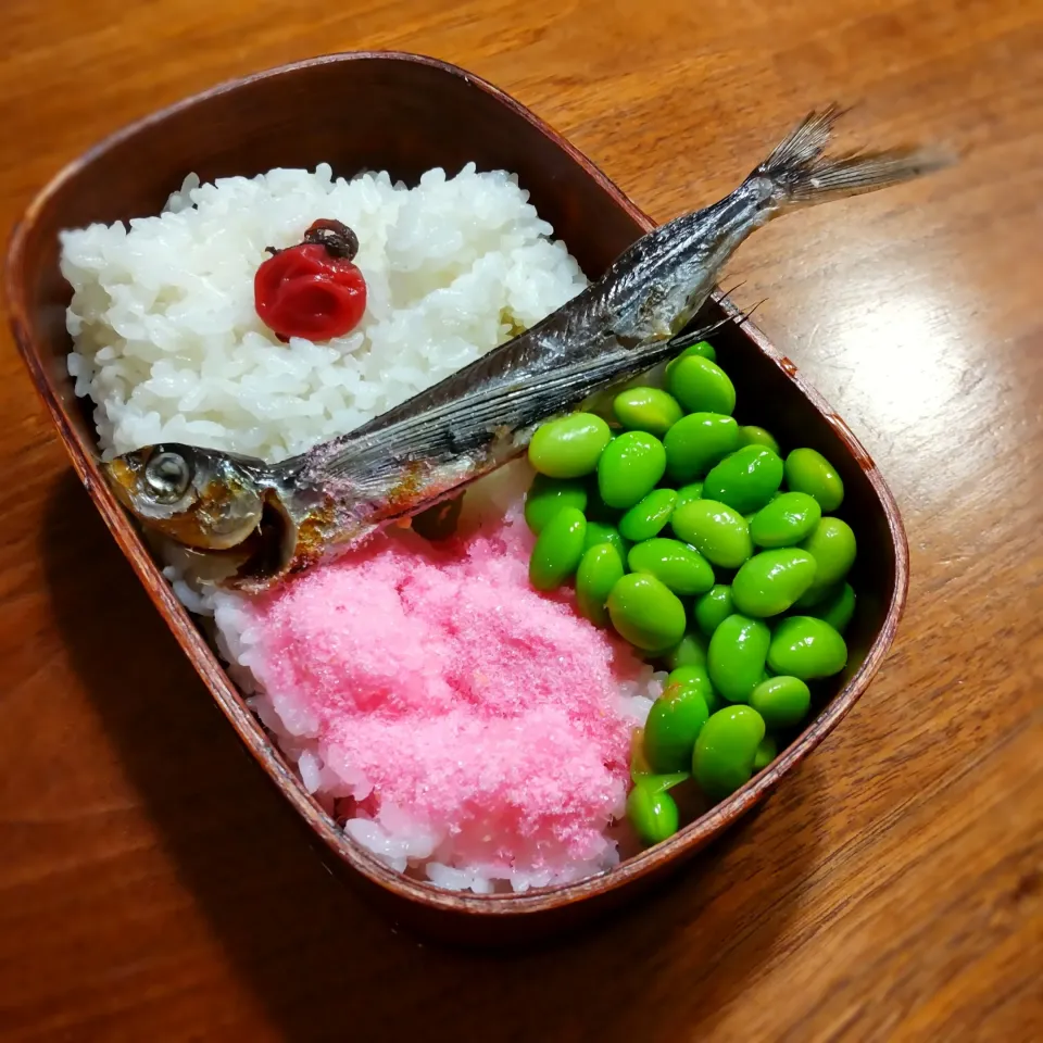 さつきのお弁当|いりごまさん