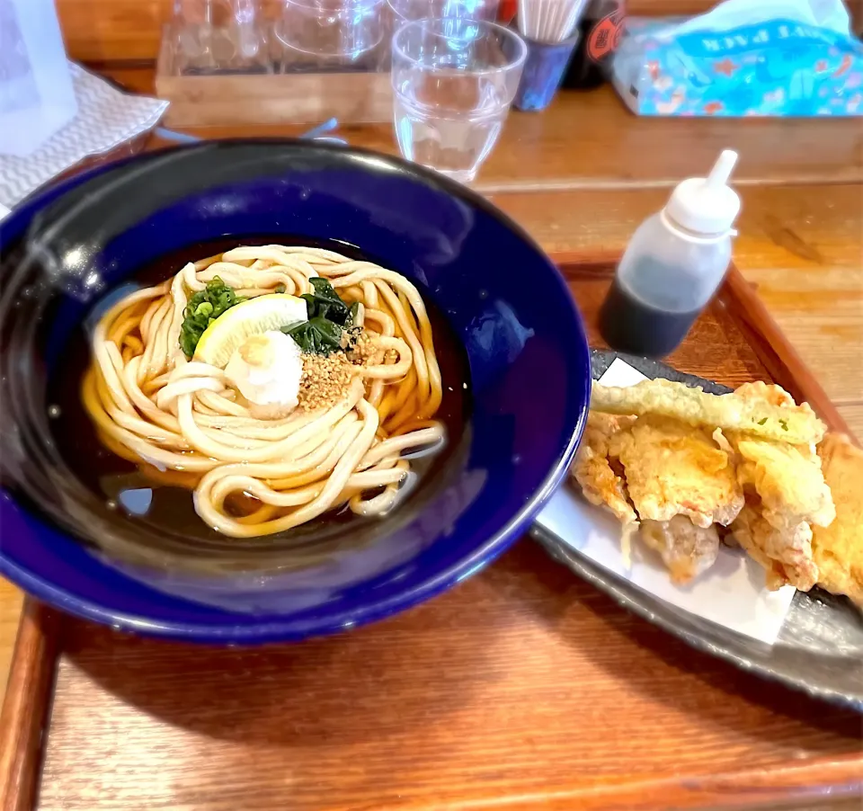 とり天と冷やしうどん|Shimoda Tohruさん