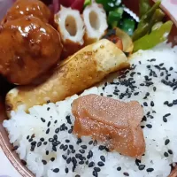 Snapdishの料理写真:高校生男子曲げわっぱ弁当|JUNさん