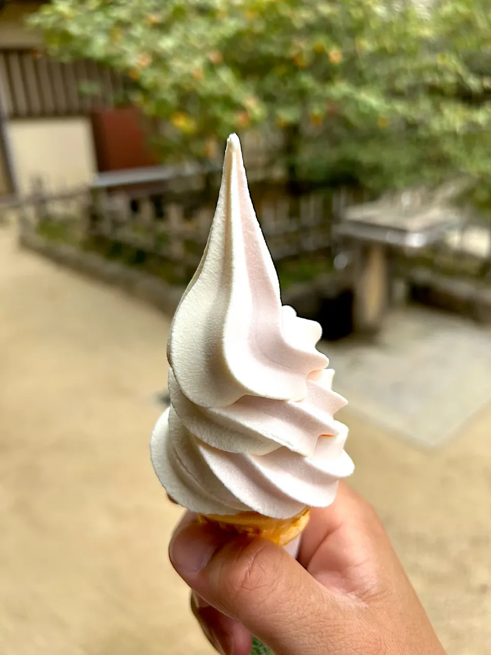 後楽園でオヤツ😋🍦|すかラインさん